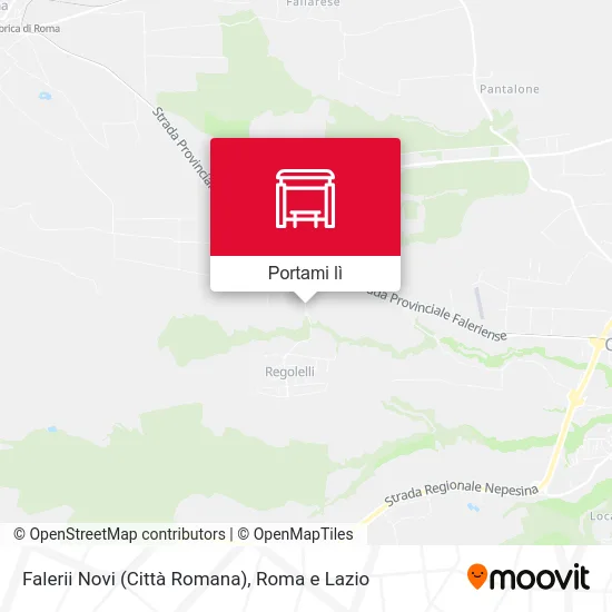 Mappa Falerii Novi (Città Romana)