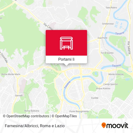 Mappa Farnesina/Albricci