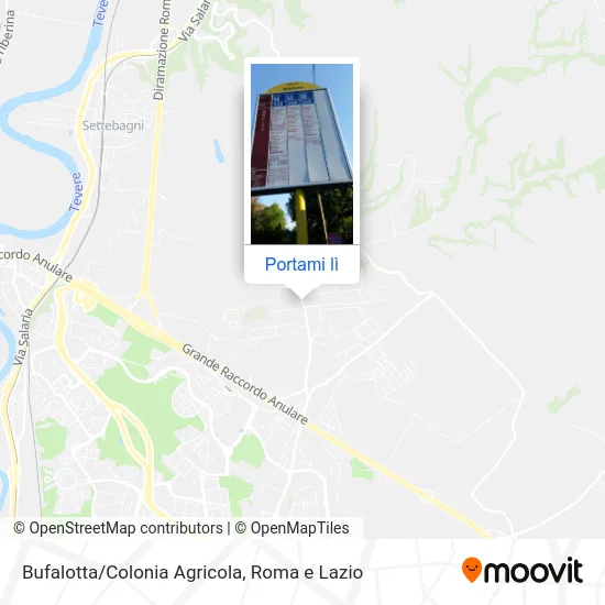 Mappa Bufalotta/Colonia Agricola