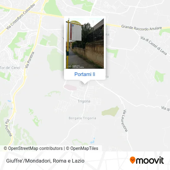 Mappa Giuffre'/Mondadori