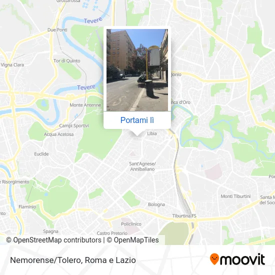 Mappa Nemorense/Tolero