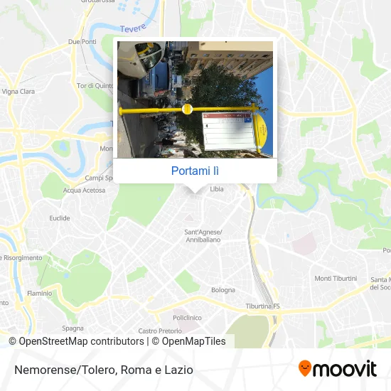 Mappa Nemorense/Tolero