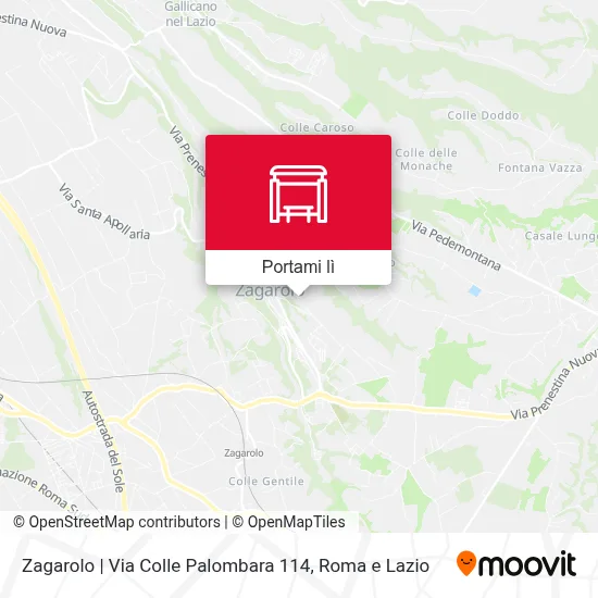 Mappa Zagarolo | Via Colle Palombara 114