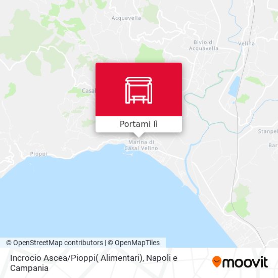 Mappa Incrocio Ascea / Pioppi( Alimentari)