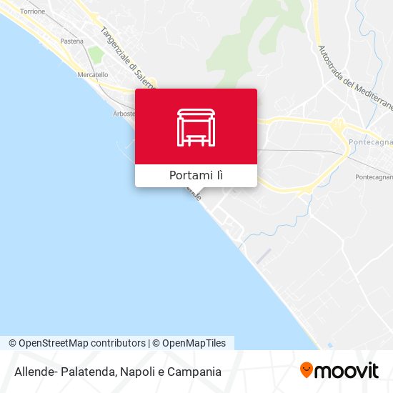 Mappa Allende- Palatenda