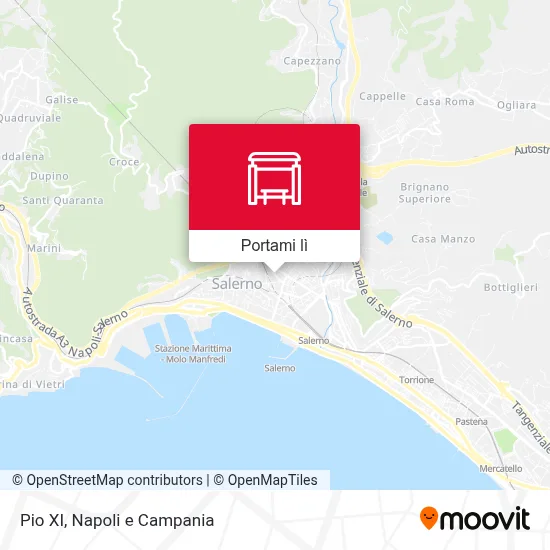 Mappa Pio XI