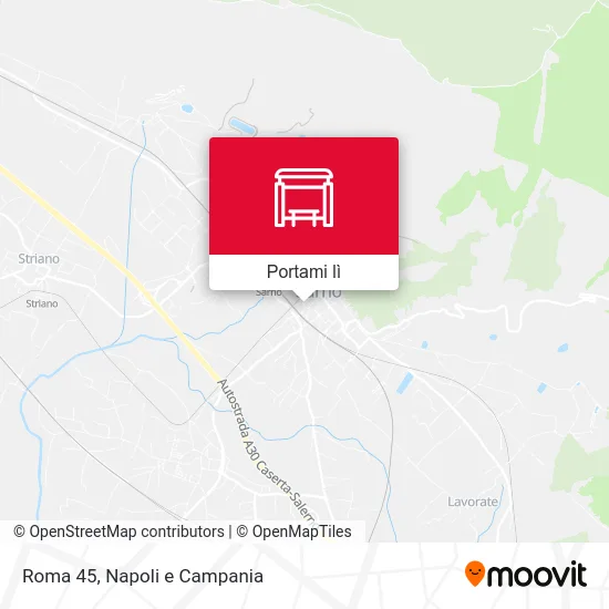 Mappa Roma 45