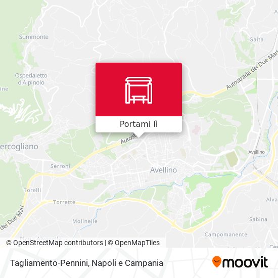 Mappa Tagliamento-Pennini