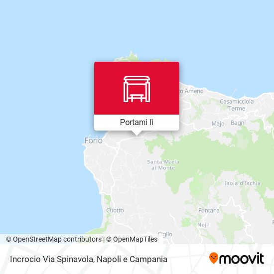 Mappa Incrocio Via Spinavola