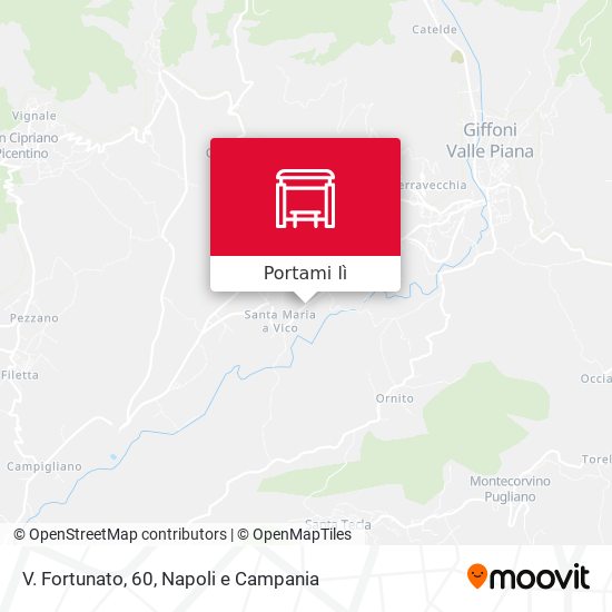 Mappa V. Fortunato, 60