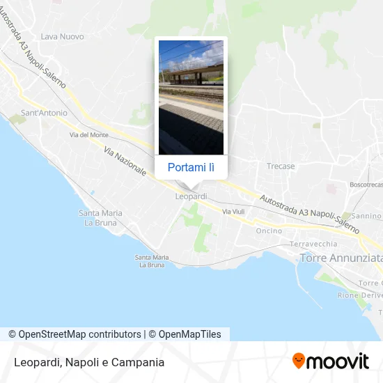 Mappa Leopardi