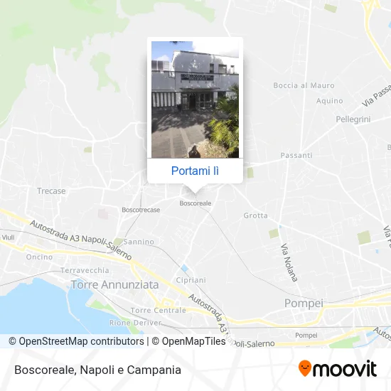Mappa Boscoreale
