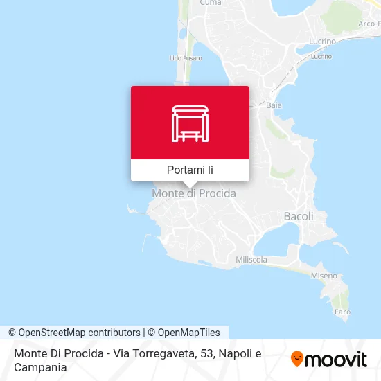 Mappa Monte Di Procida - Via Torregaveta, 53
