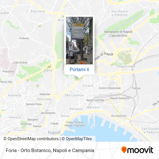 Mappa Foria - Orto Botanico