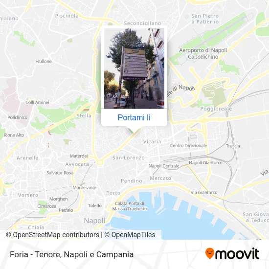 Mappa Foria - Tenore