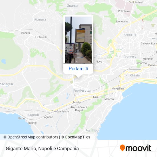 Mappa Gigante Mario