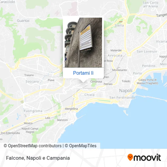 Mappa Falcone