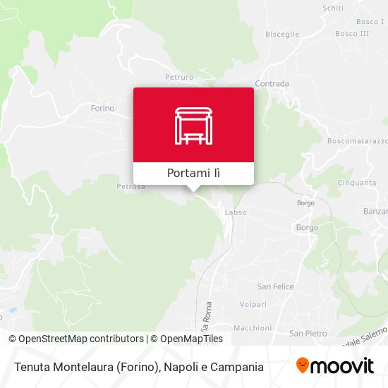 Mappa Tenuta Montelaura (Forino)