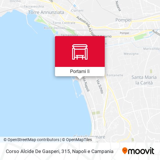 Mappa Corso Alcide De Gasperi, 315