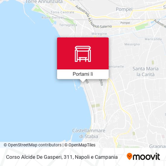 Mappa Corso Alcide De Gasperi, 311