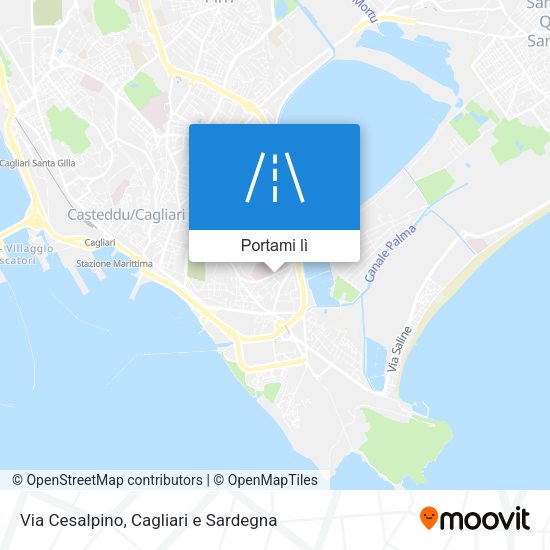 Mappa Via Cesalpino