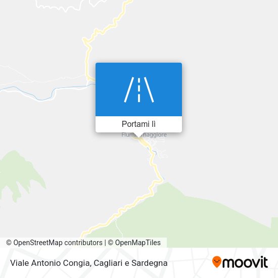 Mappa Viale Antonio Congia