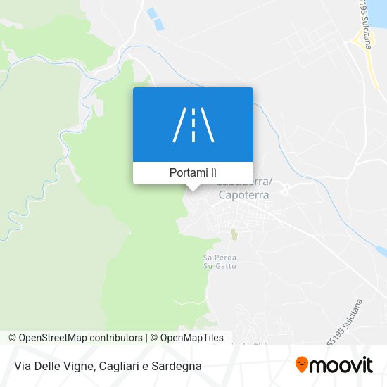 Mappa Via Delle Vigne