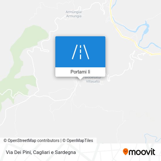 Mappa Via Dei Pini