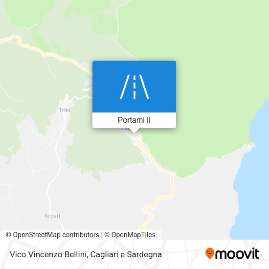 Mappa Vico Vincenzo Bellini