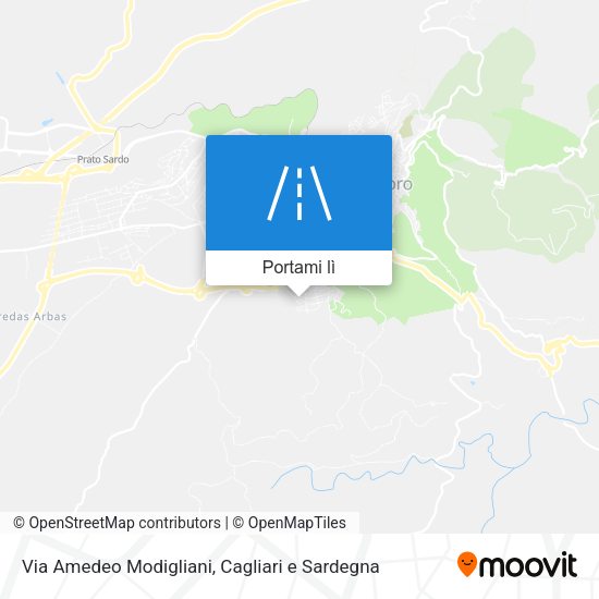 Mappa Via Amedeo Modigliani