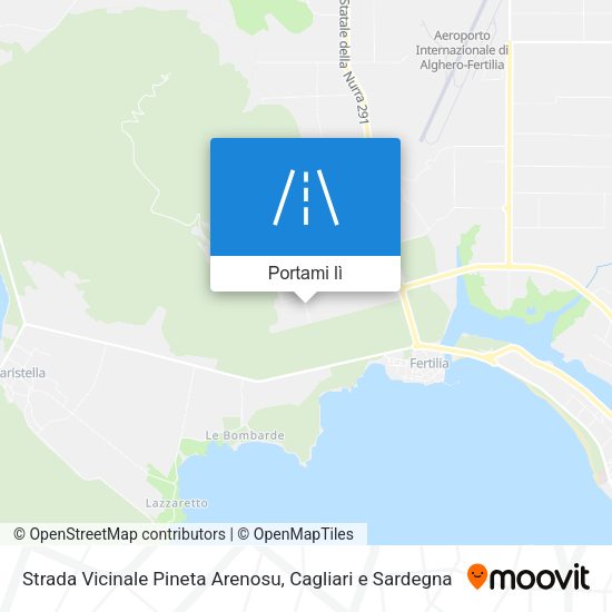 Mappa Strada Vicinale Pineta Arenosu
