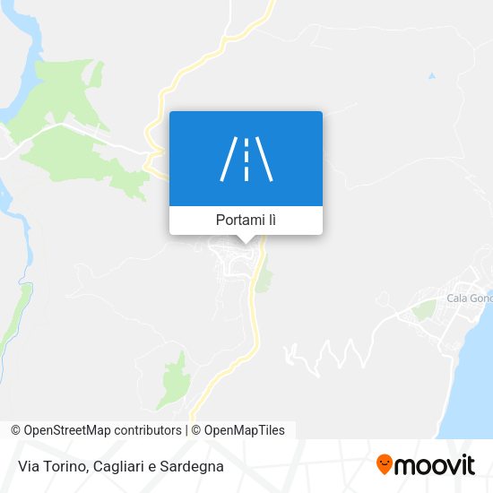 Mappa Via Torino