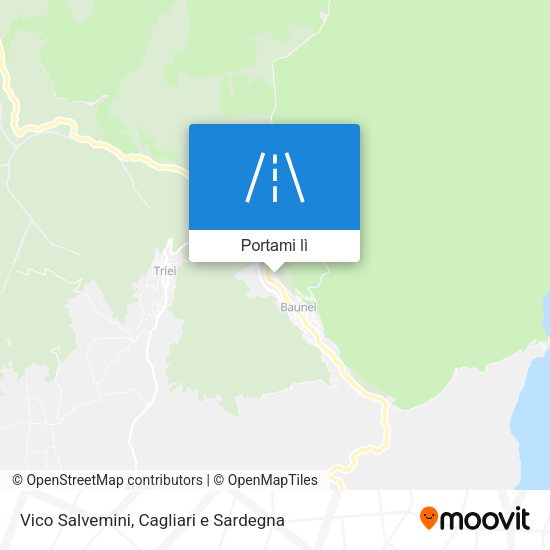 Mappa Vico Salvemini