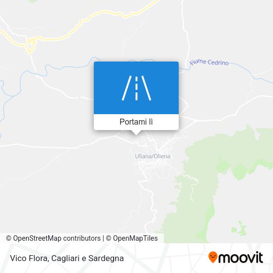 Mappa Vico Flora