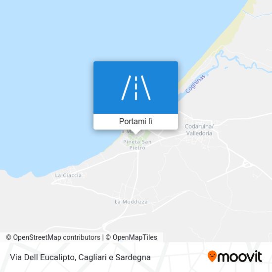 Mappa Via Dell Eucalipto