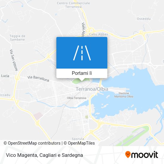 Mappa Vico Magenta