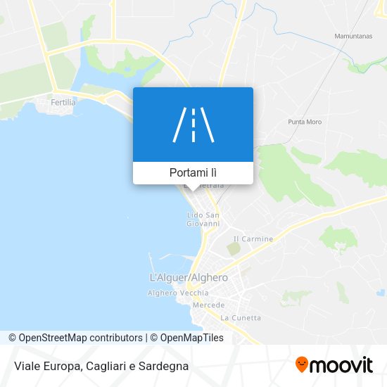 Mappa Viale Europa