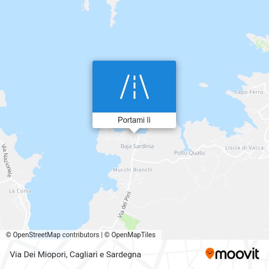Mappa Via Dei Miopori
