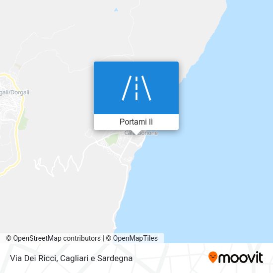 Mappa Via Dei Ricci