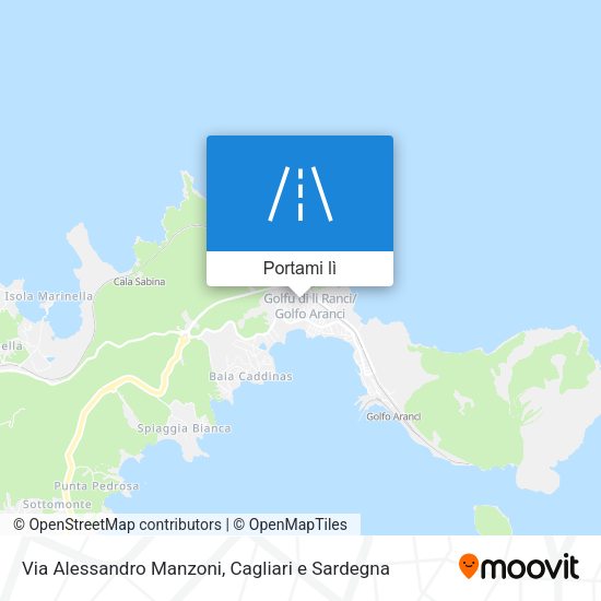 Mappa Via Alessandro Manzoni