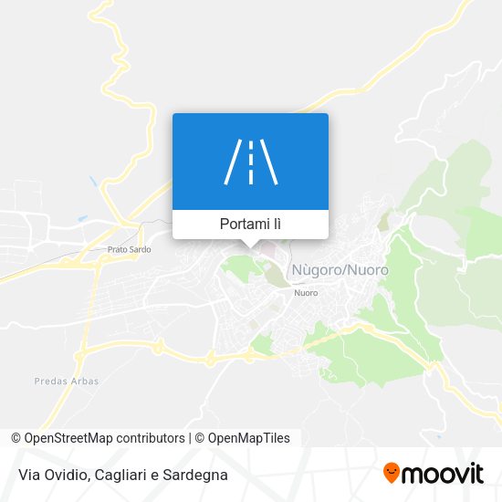 Mappa Via Ovidio