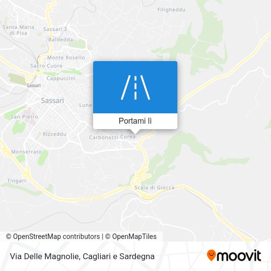 Mappa Via Delle Magnolie