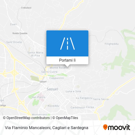 Mappa Via Flaminio Mancaleoni