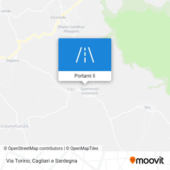 Mappa Via Torino