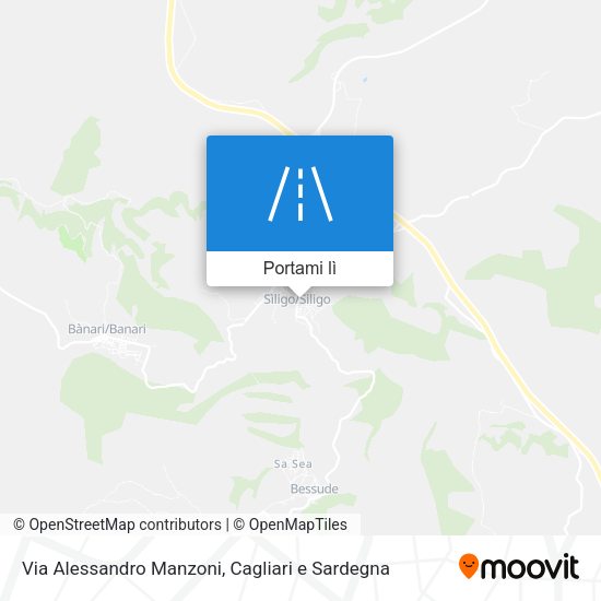 Mappa Via Alessandro Manzoni