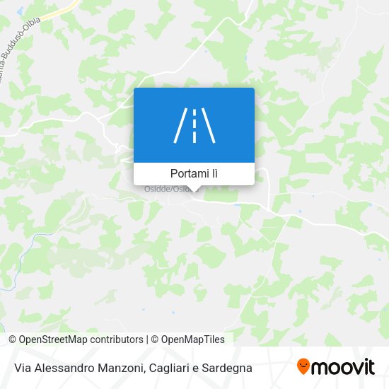 Mappa Via Alessandro Manzoni
