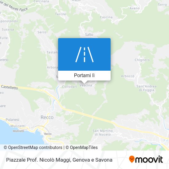 Mappa Piazzale Prof. Nicolò Maggi