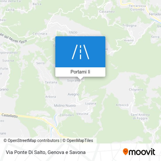 Mappa Via Ponte Di Salto