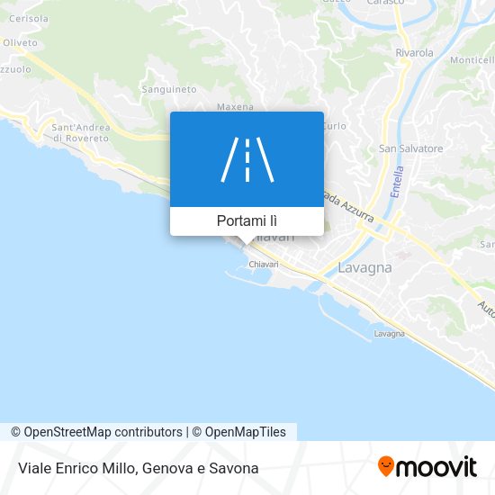 Mappa Viale Enrico Millo