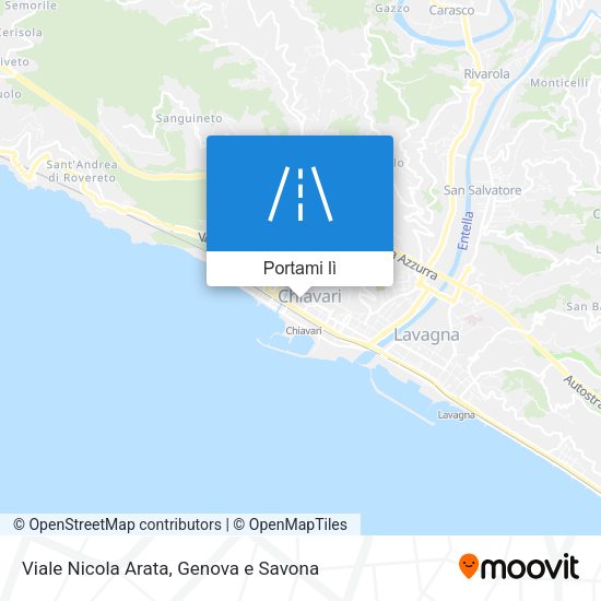 Mappa Viale Nicola Arata